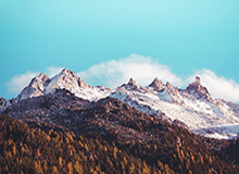 米乐：一粒米的温度，一段生活的温柔